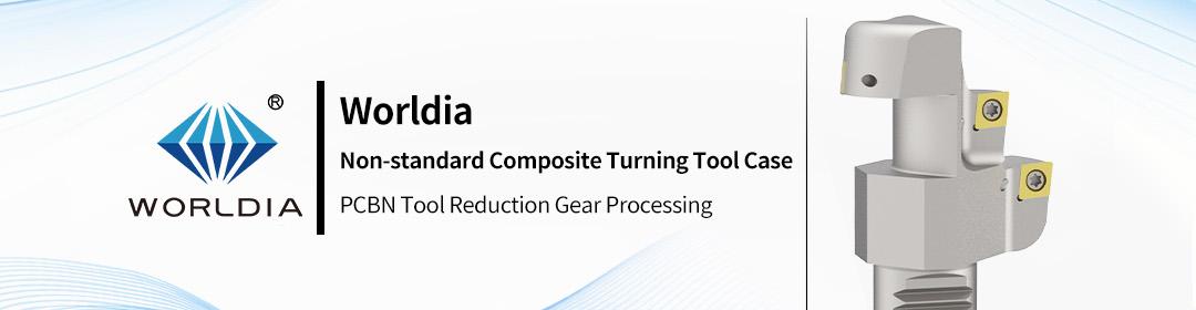 Worldia 비표준 복합 회전 공구 케이스 - PCBN 공구 감소 기어 가공 4